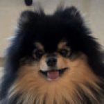 ひとみ さんのプロフィール写真